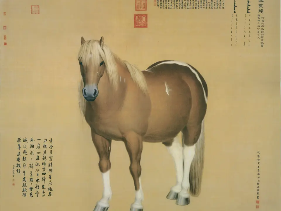 雪点雕，作者郎世宁，未知