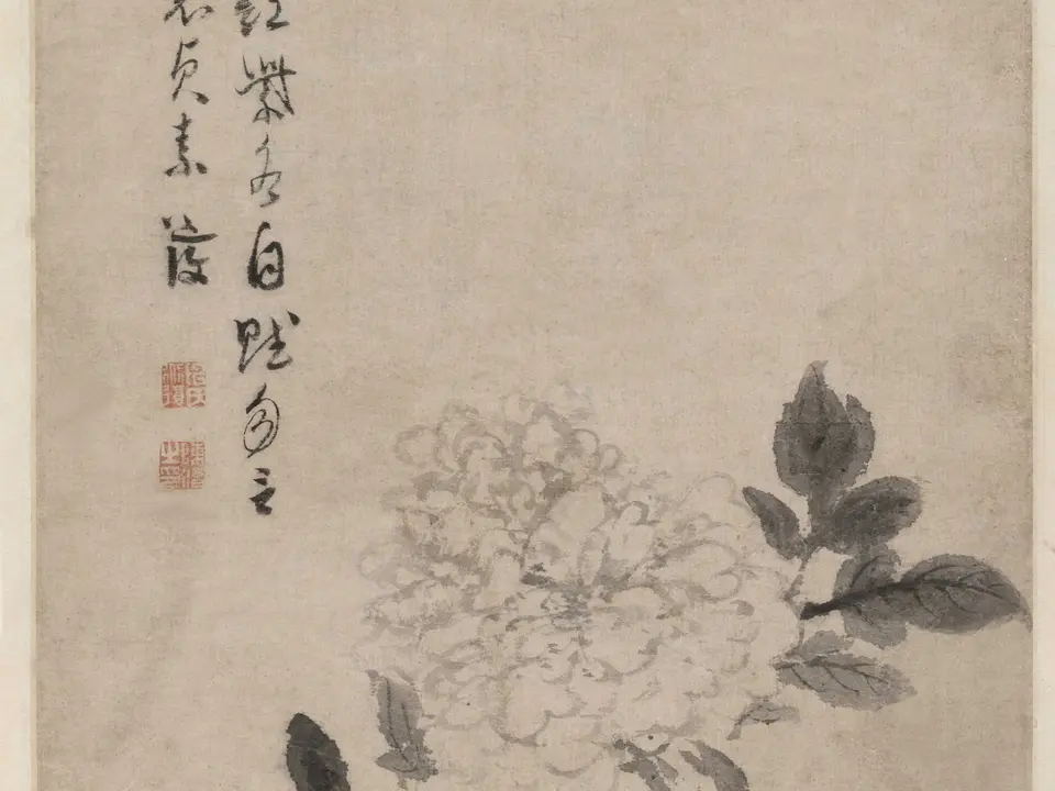牡丹花卉图,作者陈淳,16世纪