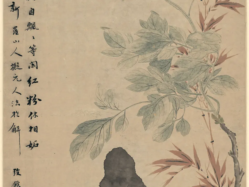 牡丹竹石图,作者华喦