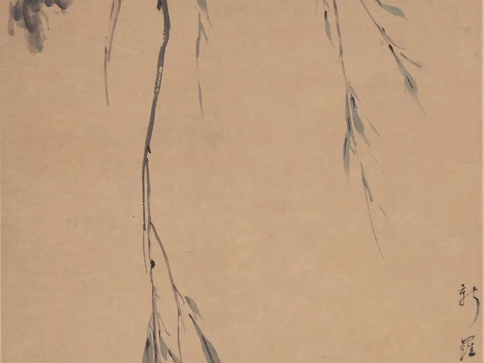 柳禽图,作者华岩