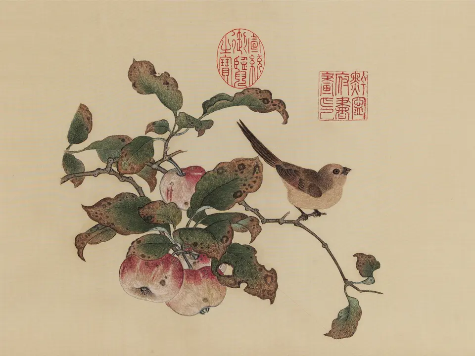 苹婆山鸟图，10世纪