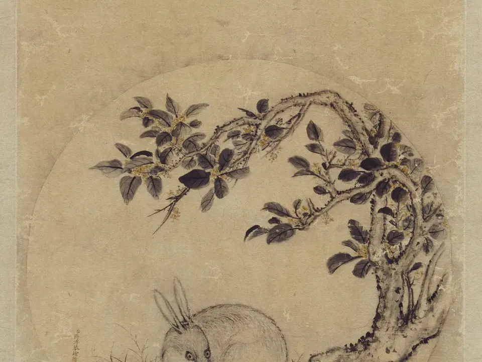 月中桂兔图,作者蒋溥