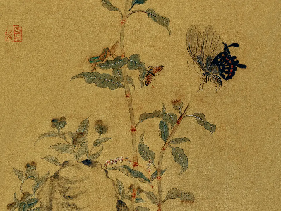 花蝴蝶图，作者金钥、蔡含秋，未知