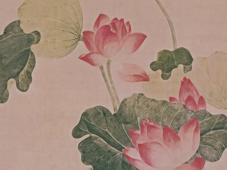 荷花图,作者吴应贞