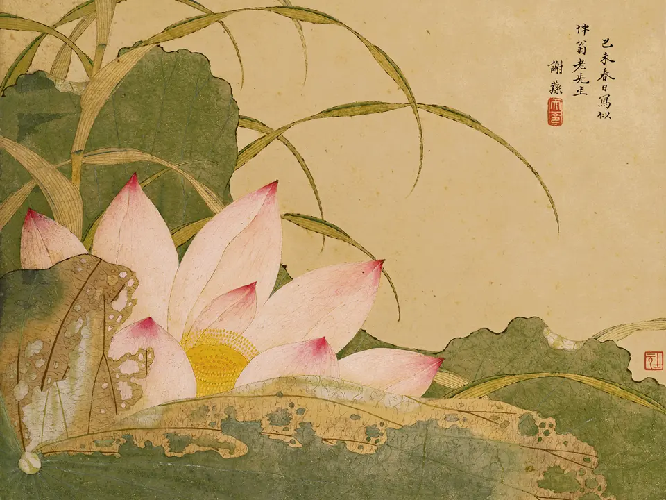 荷花图,作者谢荪