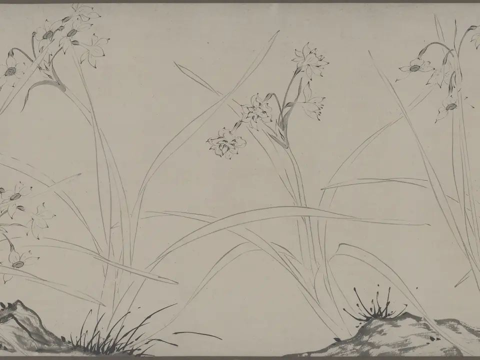 仿赵孟坚水仙图，未知