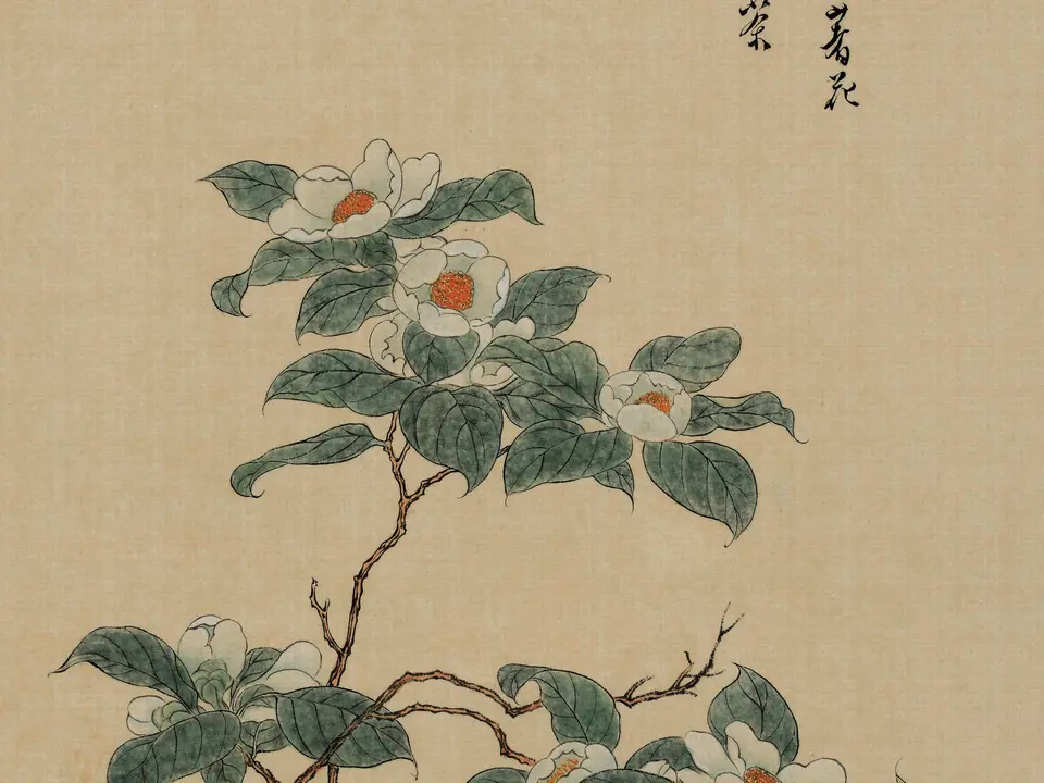 清代溥儒《花哇绢》全幅，绢本设色，106 x 55 cm
