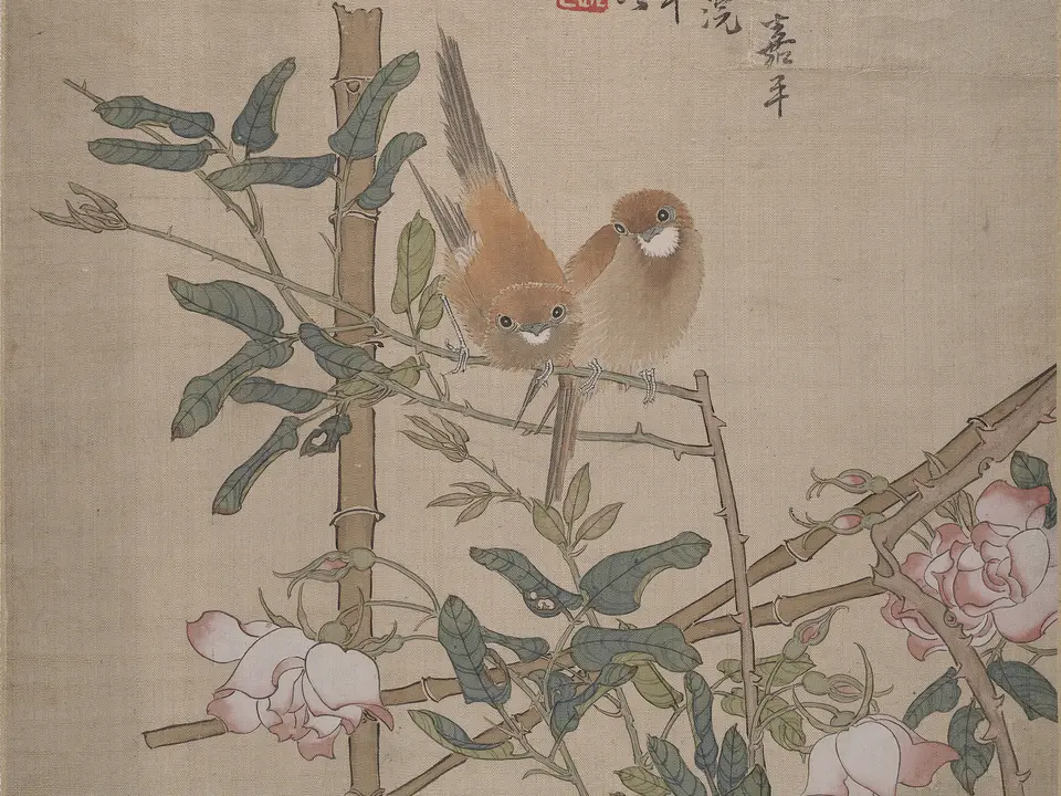 花鸟册页,作者任颐