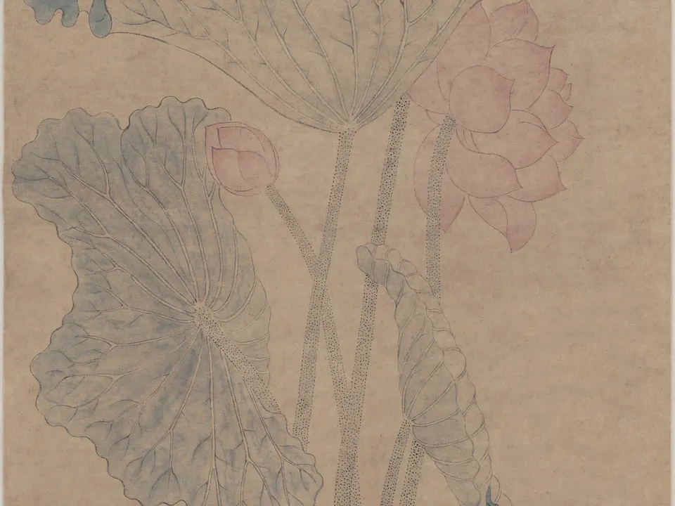 瓶荷图,作者沈周