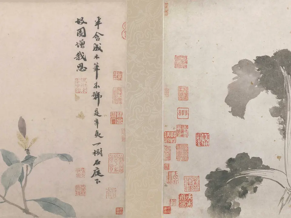 辛夷墨菜图卷,作者沈周