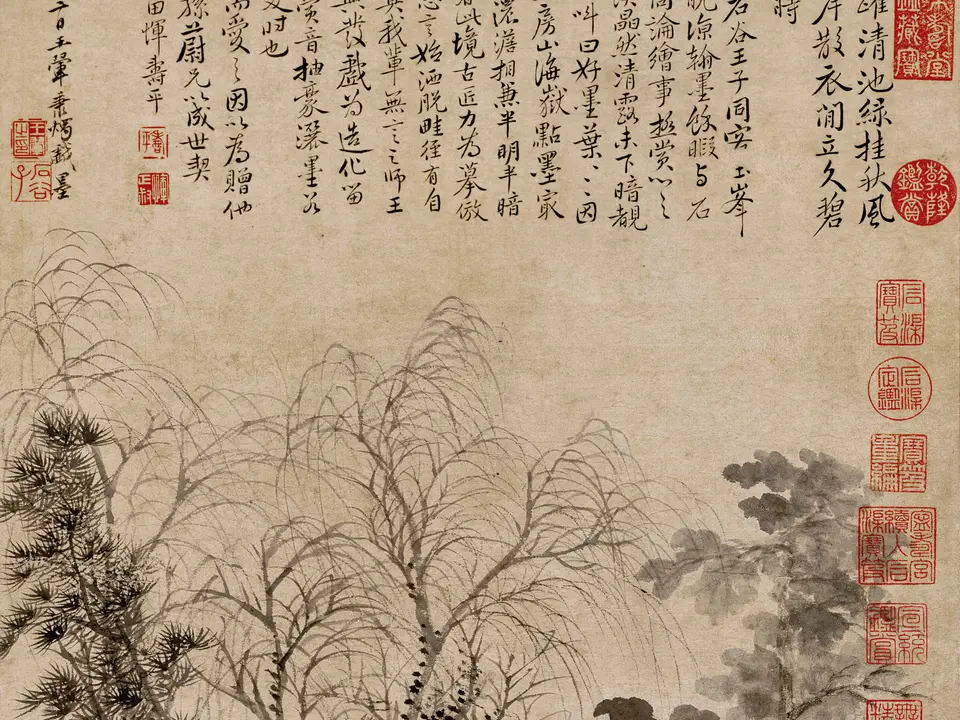 晚悟秋映
