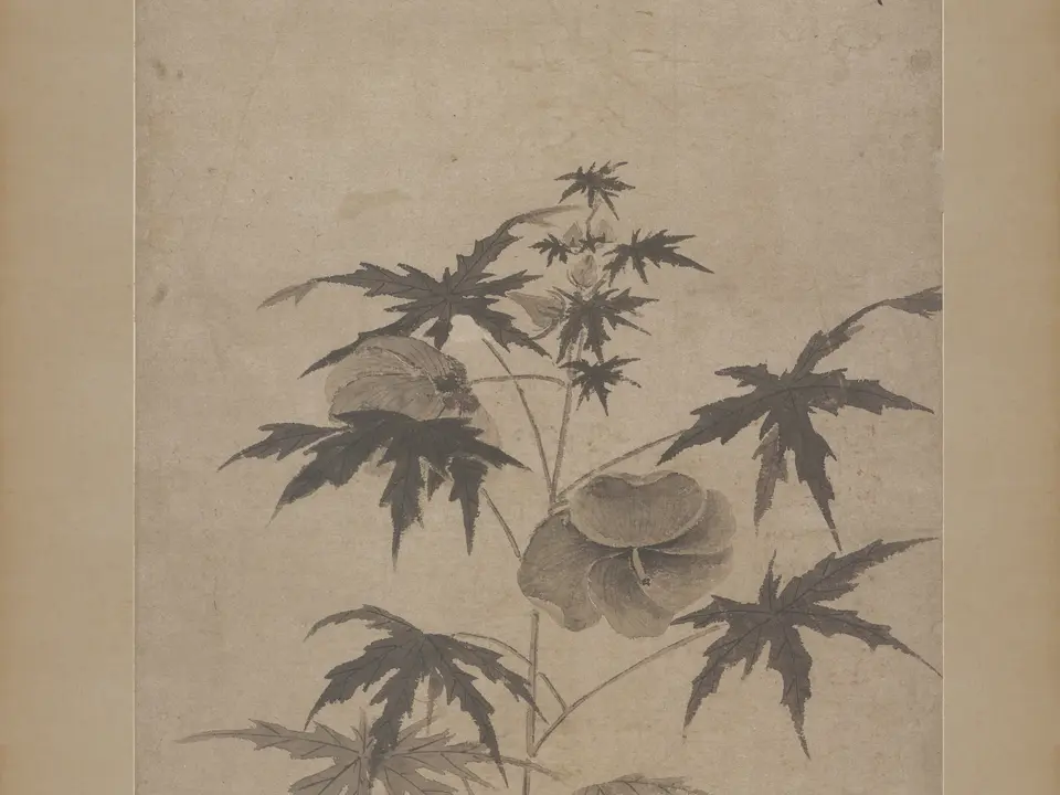 秋葵折枝图,作者文徵明