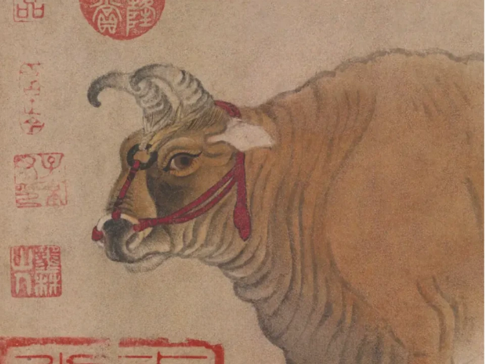 红色络头
