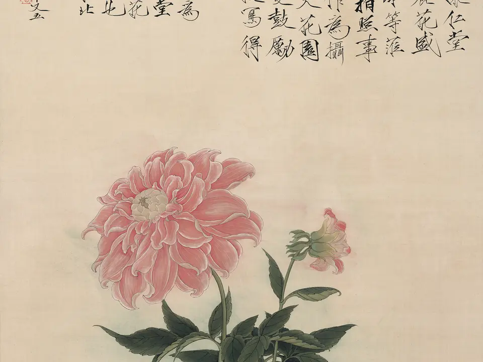 大丽花，作者于非闇，未知