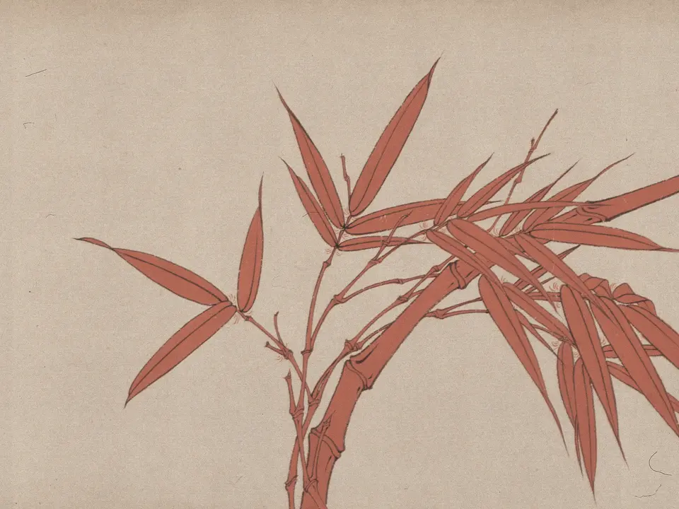 朱竹图卷，未知