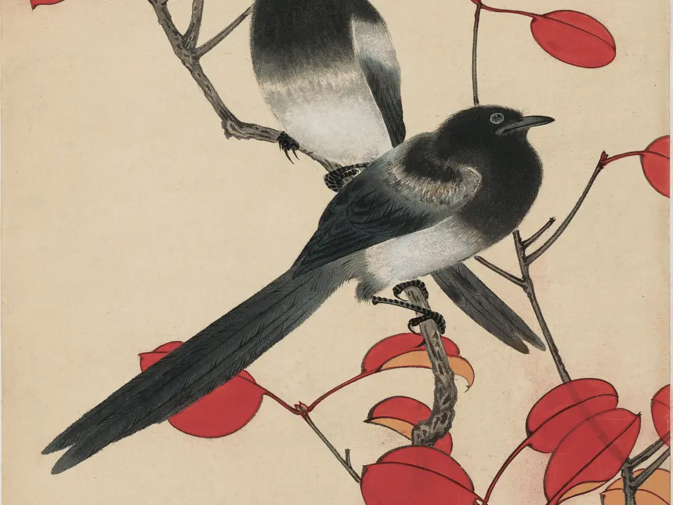 翠微红叶图轴，未知