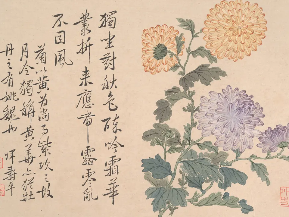 清代恽寿平《牡丹册》全幅,纸本设色,约17世纪