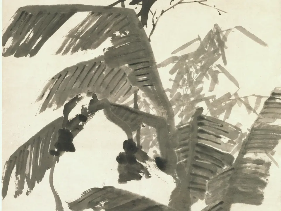 清代朱耷《芭蕉竹石图》全幅,纸本水墨